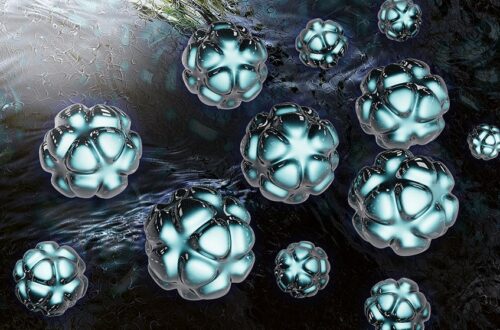 Dynamics of nanoparticle systems